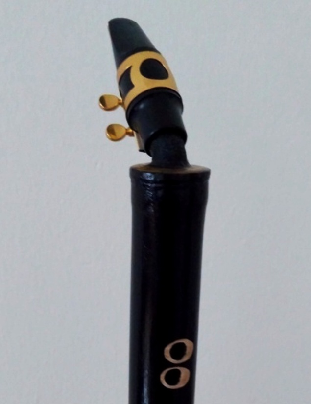 classic black mamba 01